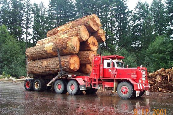 Titre : Photo from Exhibit 6 - Description : Photo from Exhibit 6 of a red logging truck loaded in 2001 by a witness.